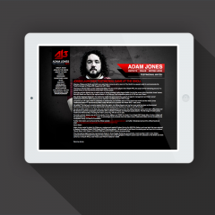 Website - iPad version